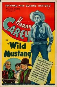 Wild Mustang (1935) posters and prints