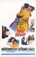 Wild River (1960) posters and prints