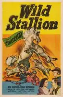Wild Stallion (1952) posters and prints