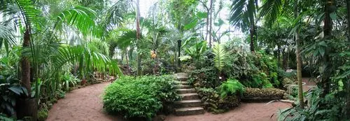 Botanical Gardens Fridge Magnet picture 105481