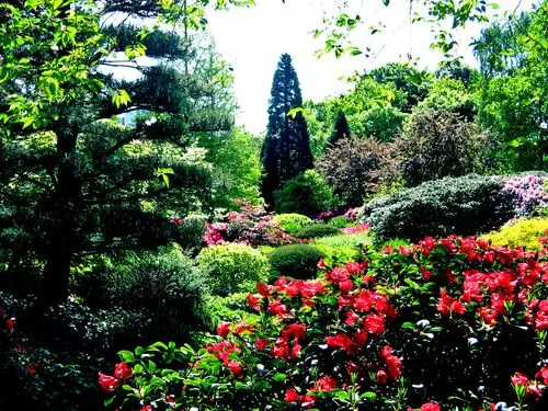 Botanical Gardens Fridge Magnet picture 105486