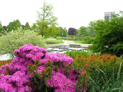 Botanical Gardens Jigsaw Puzzle picture 105487
