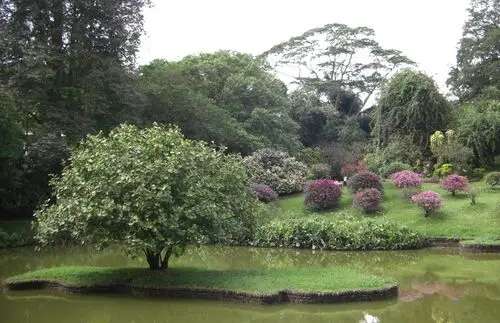 Botanical Gardens White Tank-Top - idPoster.com