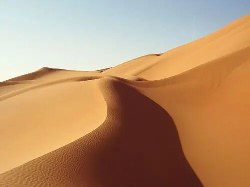 Desert Jigsaw Puzzle picture 104451