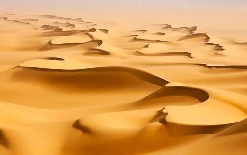 Desert Jigsaw Puzzle picture 104460