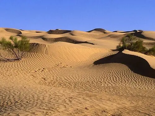 Desert Jigsaw Puzzle picture 104471