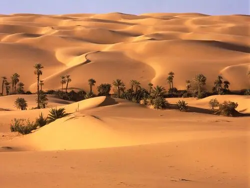 Desert Jigsaw Puzzle picture 104505