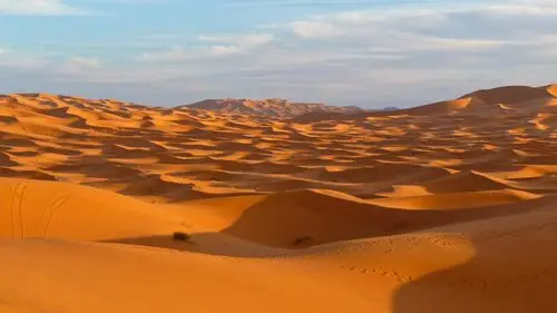 Desert Jigsaw Puzzle picture 104518