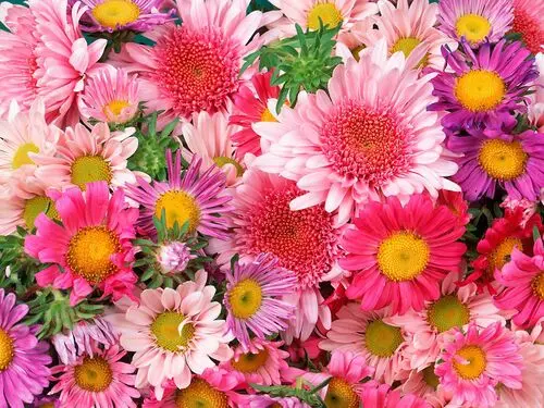 Flowers Women's Colored Tank-Top - idPoster.com