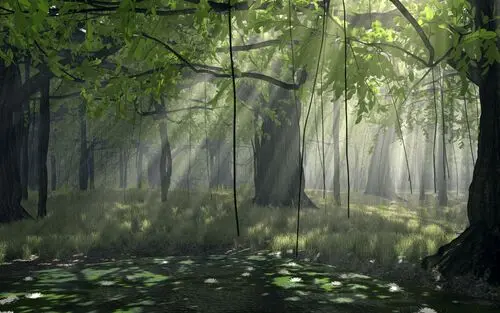 Forests Jigsaw Puzzle picture 104950