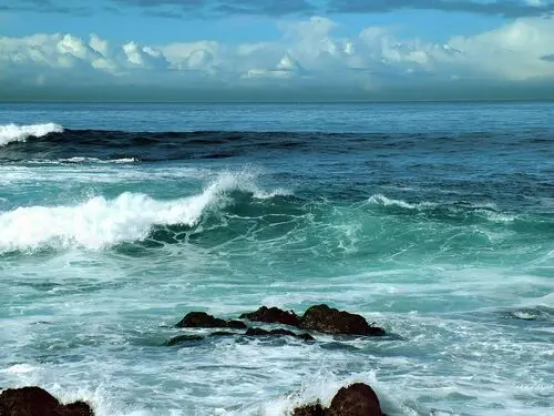 Oceans Jigsaw Puzzle picture 104725
