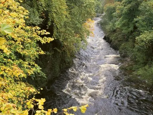 Rivers Jigsaw Puzzle picture 104293
