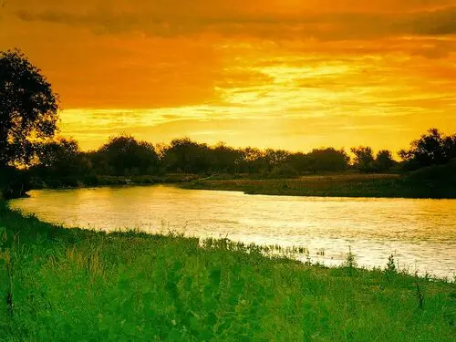 Rivers Jigsaw Puzzle picture 104396