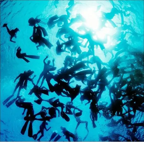 Underwater World Fridge Magnet picture 105663