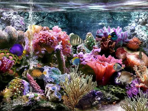 Underwater World Fridge Magnet picture 105730
