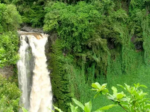 Waterfalls Tote Bag - idPoster.com