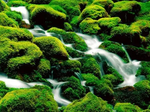 Waterfalls Jigsaw Puzzle picture 105323