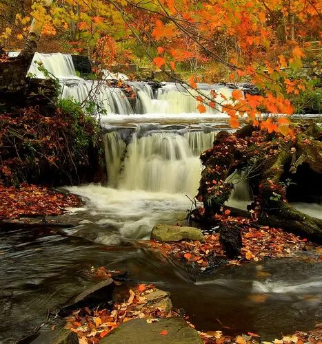 Waterfalls Jigsaw Puzzle picture 105454