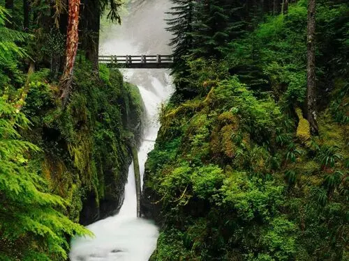Waterfalls Fridge Magnet picture 105456