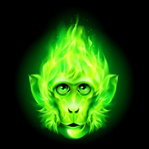 Year of the Fire Monkey Fridge Magnet picture 1147876