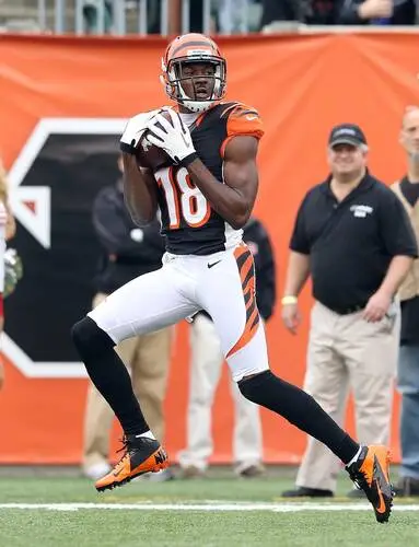 A.J. Green Image Jpg picture 717148