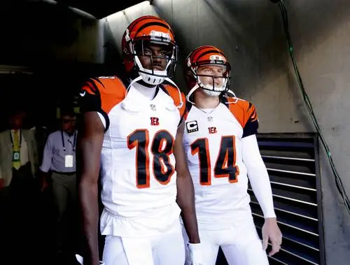 A.J. Green Image Jpg picture 717153