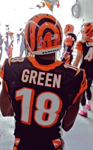 A.J. Green Jigsaw Puzzle picture 717168