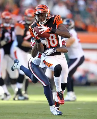 A.J. Green Image Jpg picture 717169