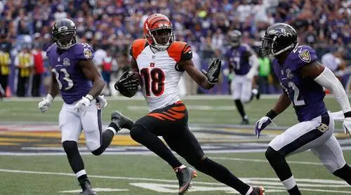 A.J. Green Image Jpg picture 717190