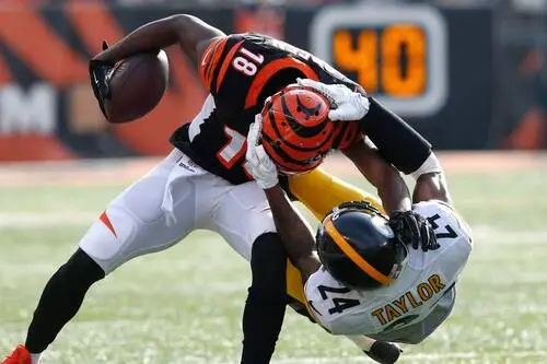 A.J. Green Jigsaw Puzzle picture 717212