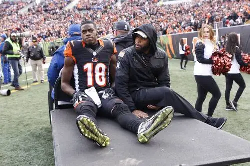 A.J. Green Image Jpg picture 717215