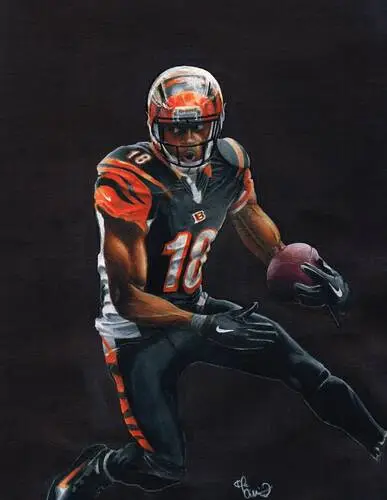 A.J. Green Jigsaw Puzzle picture 717231
