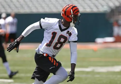 A.J. Green Protected Face mask - idPoster.com