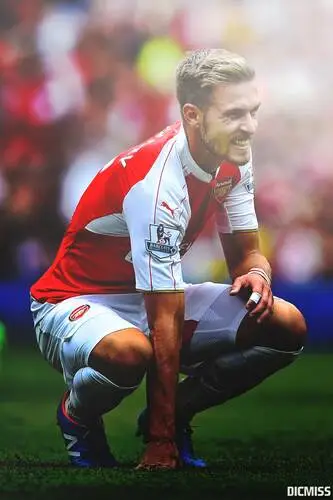 Aaron Ramsey Wall Poster picture 696753
