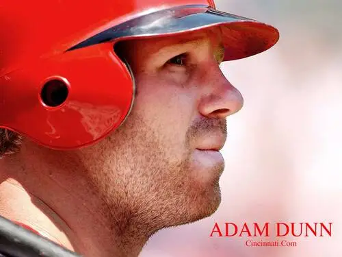 Adam Dunn Wall Poster picture 93624