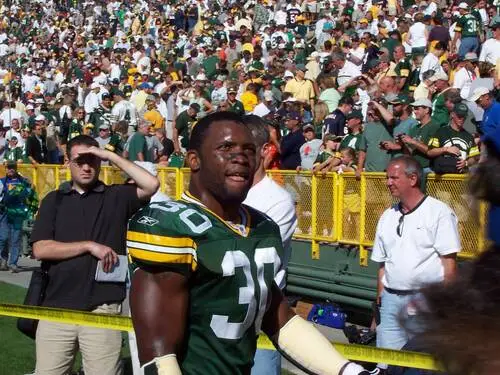 Ahman Green Jigsaw Puzzle picture 58115
