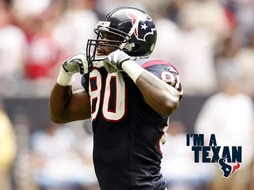 Andre Johnson Wall Poster picture 94391