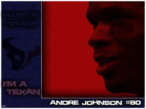 Andre Johnson Jigsaw Puzzle picture 94394
