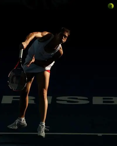 Andrea Petkovic Wall Poster picture 2279