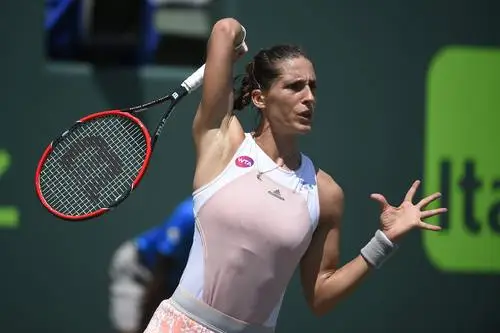 Andrea Petkovic Wall Poster picture 343497