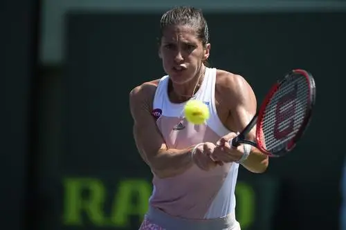 Andrea Petkovic Wall Poster picture 343498