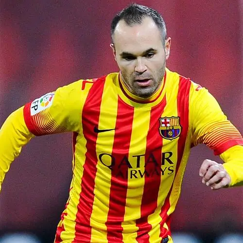 Andres Iniesta Jigsaw Puzzle picture 671237