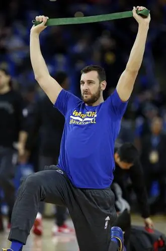Andrew Bogut Wall Poster picture 715331