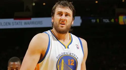 Andrew Bogut Wall Poster picture 715365