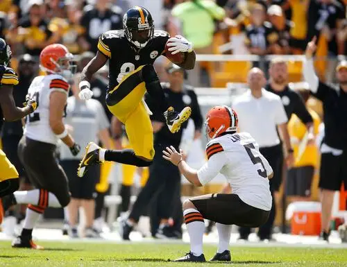 Antonio Brown Wall Poster picture 717338