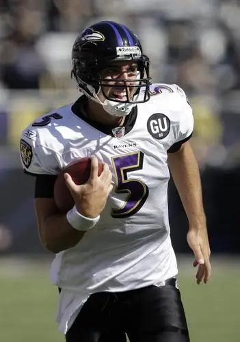 Baltimore Ravens Jigsaw Puzzle picture 304135