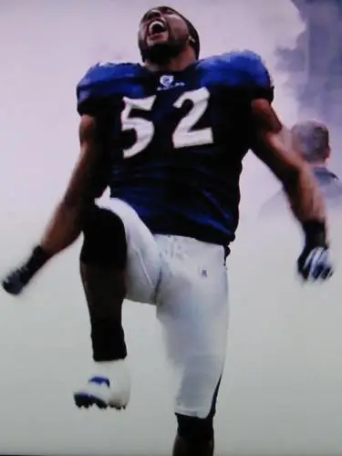 Baltimore Ravens Wall Poster picture 304145