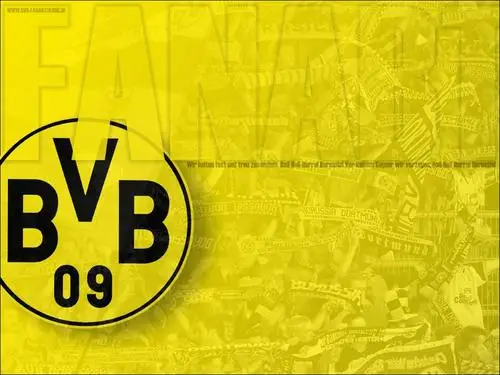 Borussia Dortmund Men's Colored Hoodie - idPoster.com