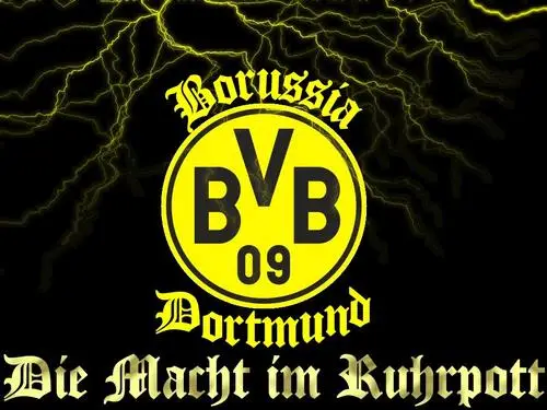 Borussia Dortmund Men's Colored T-Shirt - idPoster.com