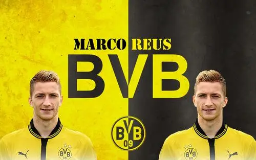 Borussia Dortmund Fridge Magnet picture 216253